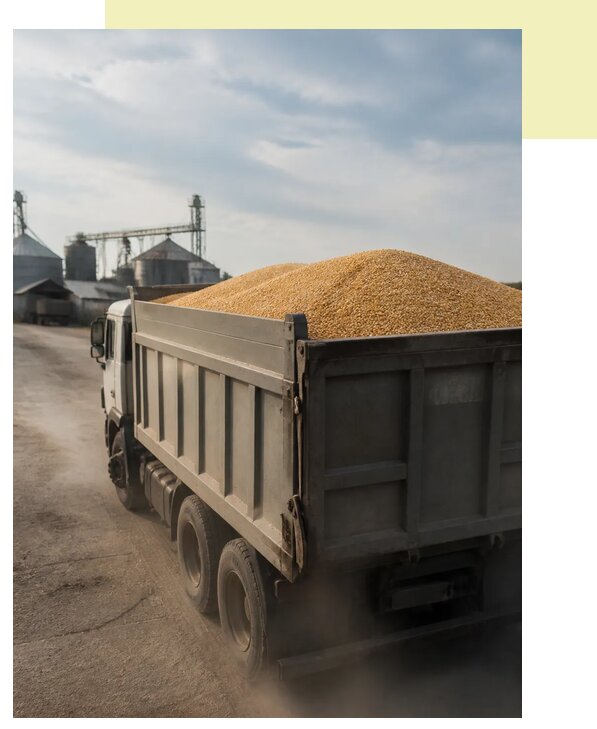 Перевозка сельхозпродукции навалом в Ростов-на-Дон по цене от 3129 р. | Агросервис-Рст